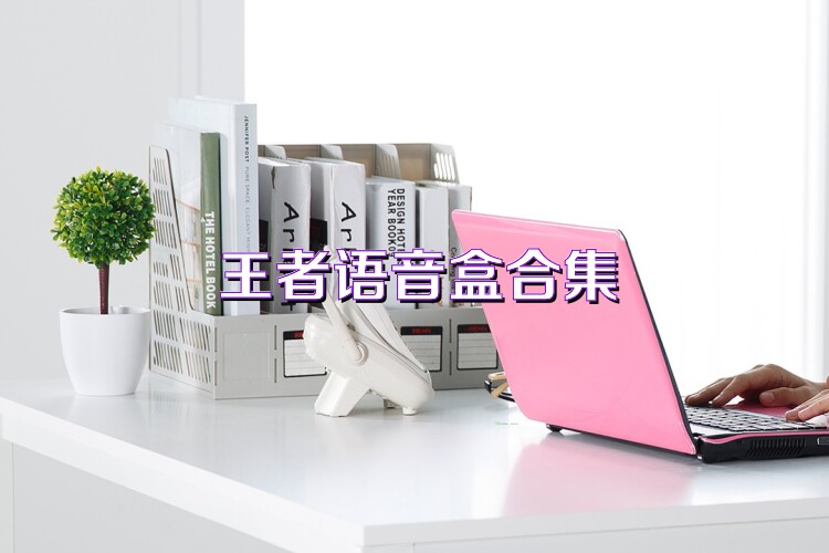 王者语音盒合集