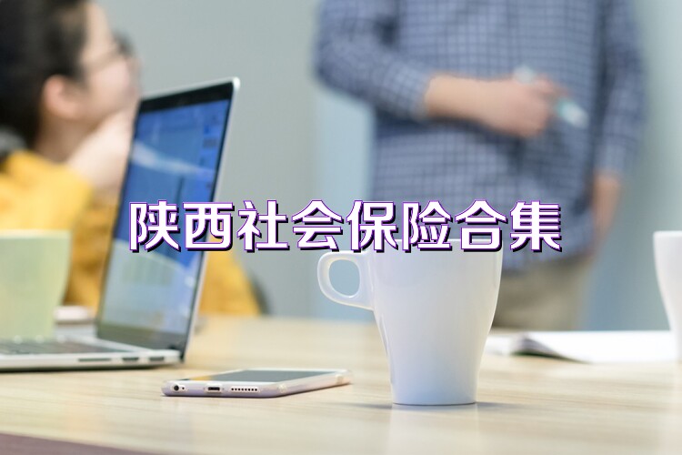 陕西社会保险合集