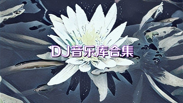 DJ音乐库合集